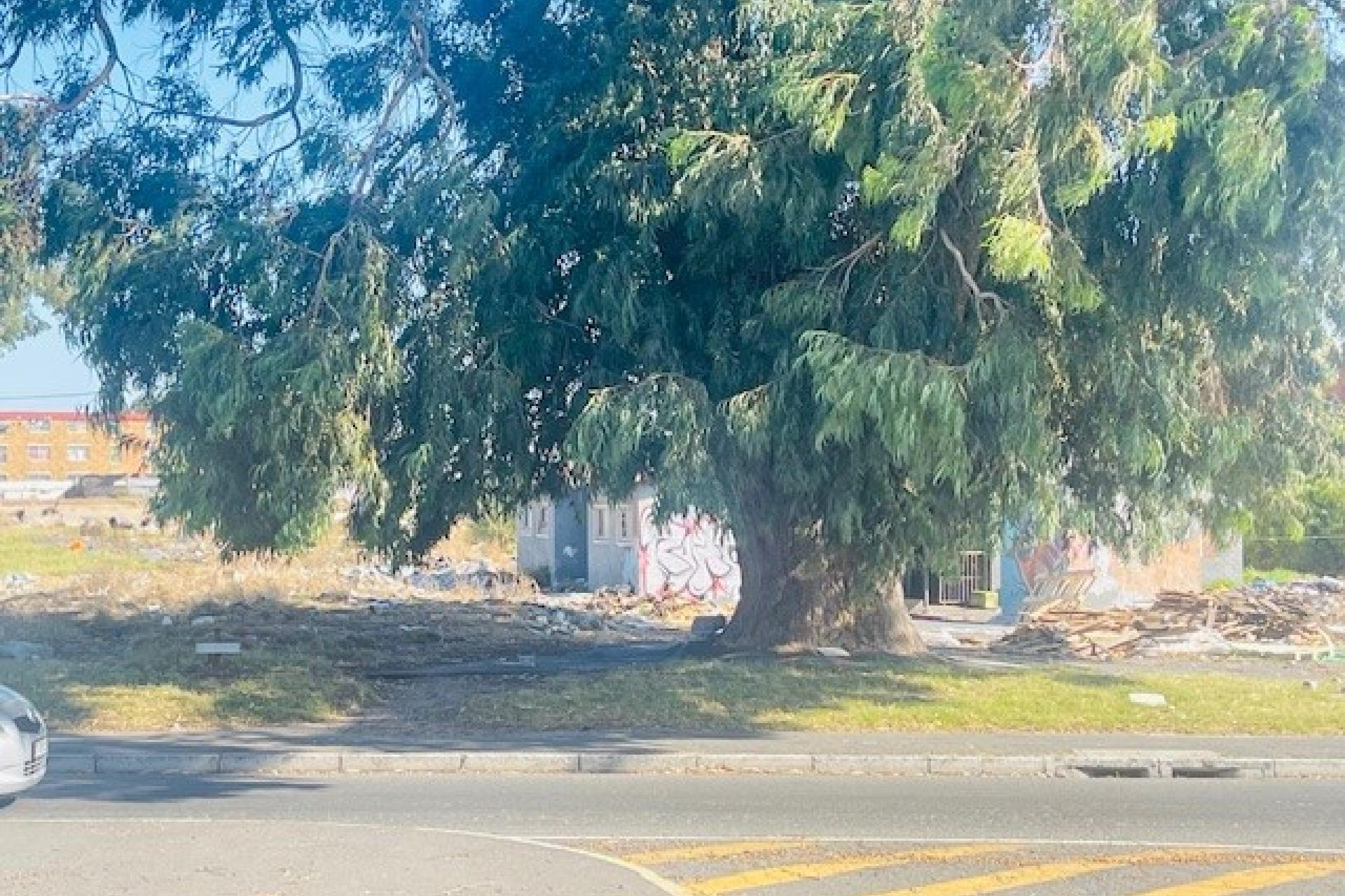 Commercial Land / Plot for Sale - Elsie's River