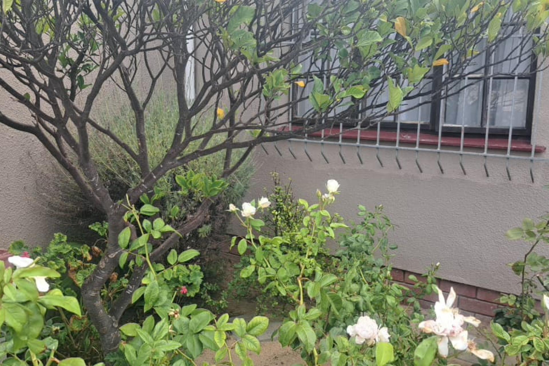 Stunning 3 Bedroom Family Home for Sale - Macassar